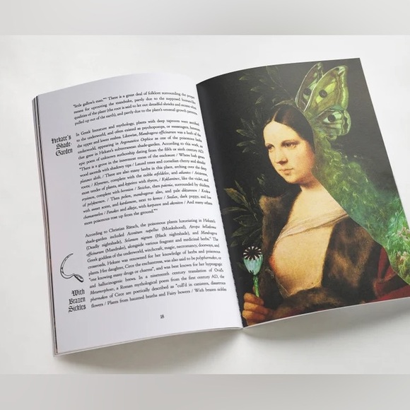 ✨🌿 The Invisible Harvest: A Microhistory of Heretical
Herbs ✨🌿 - Picture 5 of 7